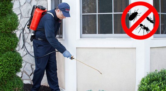 Beypazarı Böcek ve Haşere İlaçlama böcek ilaçlama ve haşere kontrolü — ilaclama-tr.com